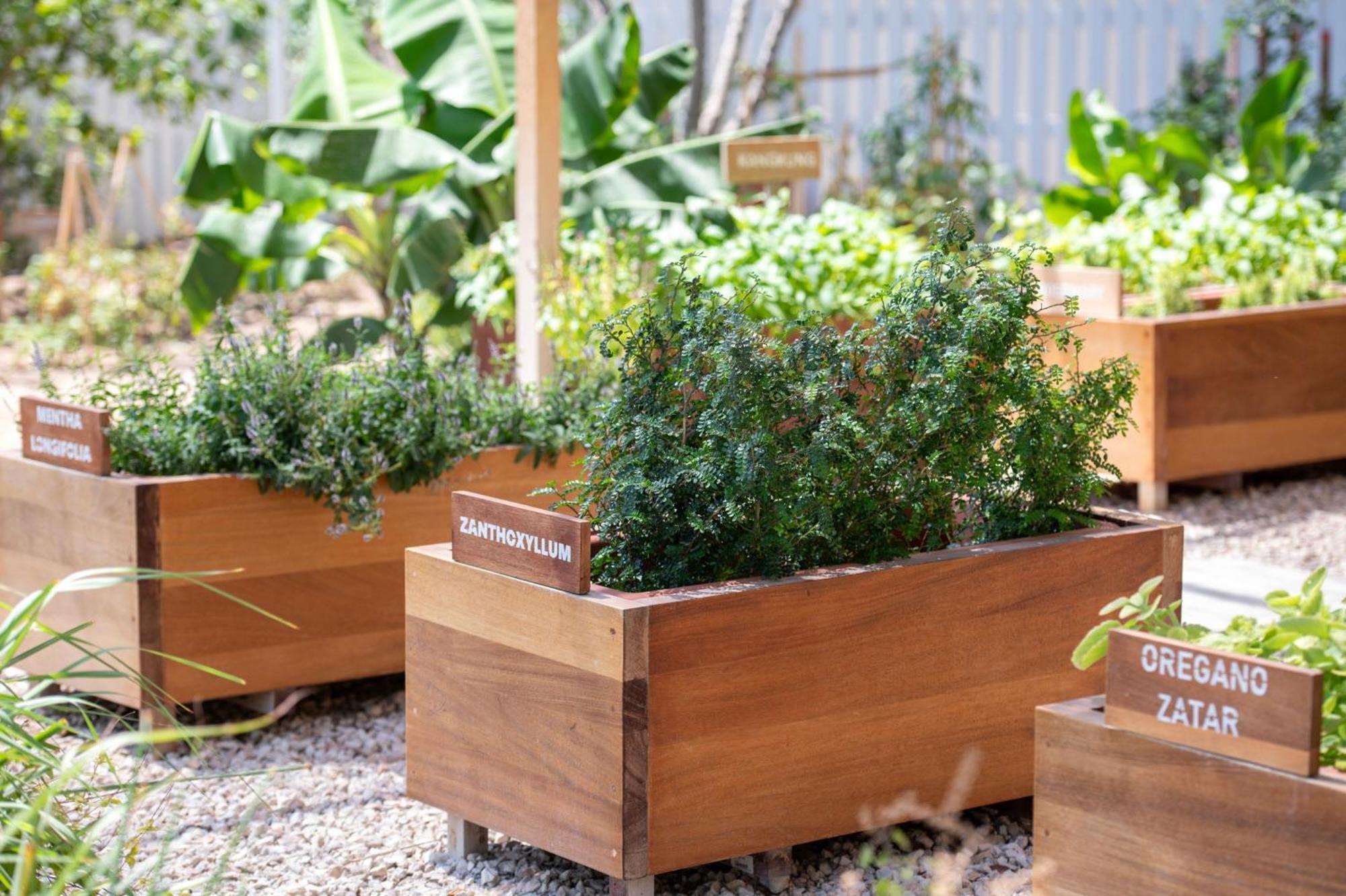 The Ritz-Carlton, Doha Hotel Luaran gambar Raised beds in a garden