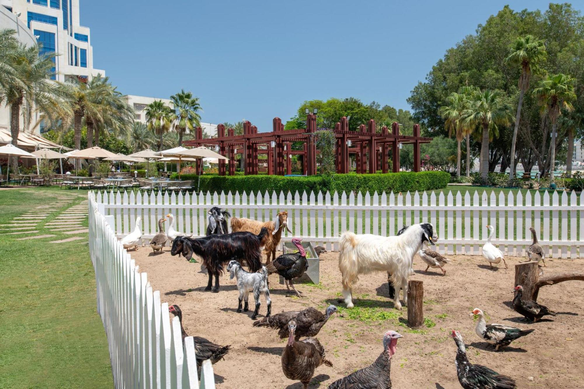 The Ritz-Carlton, Doha Hotel Luaran gambar The farm at the resort